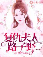 复仇夫人路子野章节列表