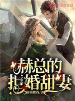 赫总的拒婚甜妻章节列表