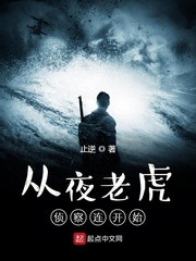 从夜老虎侦察连开始章节列表