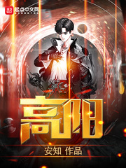 高阳章节列表