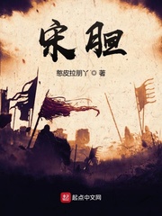 宋胆章节列表