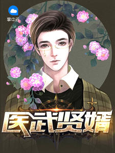医武贤婿叶风唐言蹊章节列表