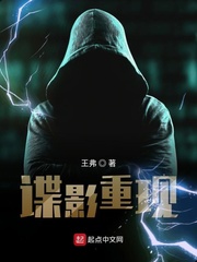 谍影重现章节列表