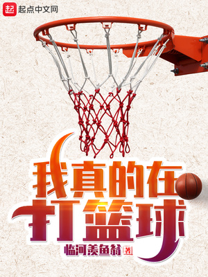 我真的在打篮球章节列表