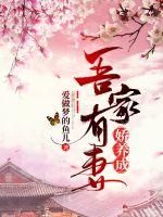 吾家有妻娇养成章节列表
