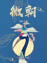 微朝章节列表