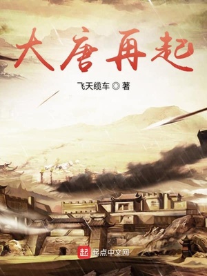 大唐再起章节列表