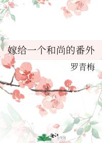 嫁给一个和尚的番外章节列表