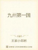 九州第一国章节列表