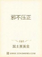 邪不压正章节列表