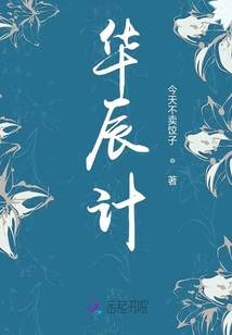 华辰计章节列表