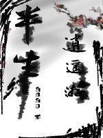 半生逍遥游章节列表