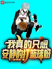 我真的只想安静的打篮球呀章节列表