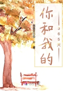 你和我的365天章节列表