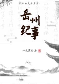 岳州纪事章节列表