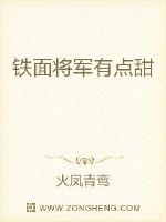 铁面将军狂撒糖章节列表