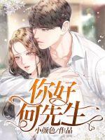 你好，何先生章节列表