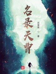 名录天曹章节列表