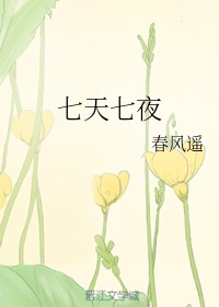 七天七夜章节列表