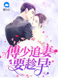 傅少追妻要趁早章节列表
