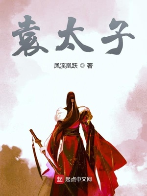 袁太子章节列表