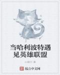 当哈利波特遇见英雄联盟章节列表