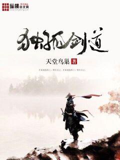 独孤剑道章节列表