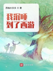 我沉睡到了西游章节列表
