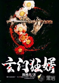 玄门狂婿章节列表