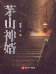 茅山神婿章节列表