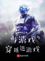 当游戏穿越进游戏章节列表