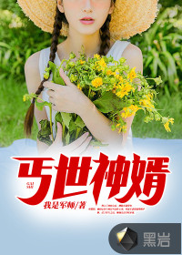 丐世神婿章节列表