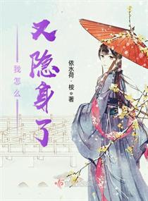 我怎么又隐身了章节列表