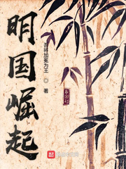 明国崛起章节列表