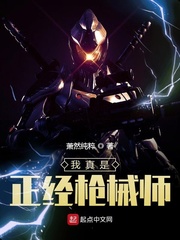我真是正经枪械师章节列表
