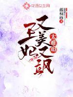 王妃又美又飒章节列表