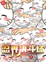 忍界决斗场章节列表