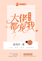 穿书后大佬都宠我章节列表