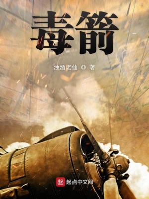 毒箭章节列表
