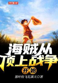 海贼从顶上战争开始章节列表