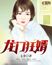 龙门狂婿章节列表