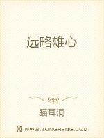 远略雄心章节列表