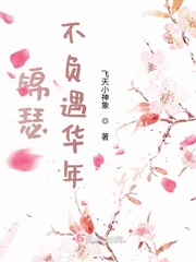 锦瑟不负遇华年章节列表