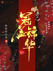 冠盖锦华章节列表
