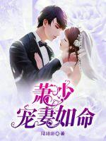 萧少宠妻如命章节列表