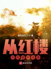 从红楼开始拯救名著章节列表