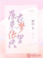 原来你只在梦里章节列表