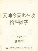 元帅今天也在收拾烂摊子章节列表