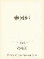 春风起章节列表