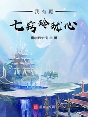 我有颗七窍玲珑心章节列表